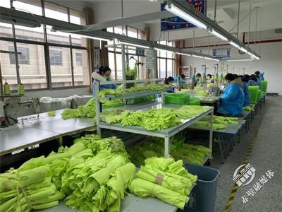 新春新氣象，赤壁服裝企業設計先行，全力沖刺“開門紅”